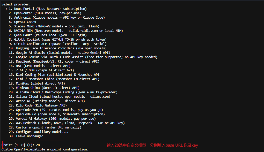 选择自定义端点
